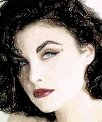 Sherilyn Fenn